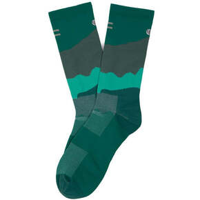 Nunc congue dui nec...