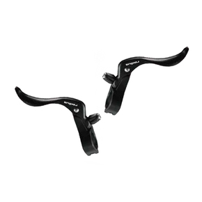 Nunc congue dui nec...