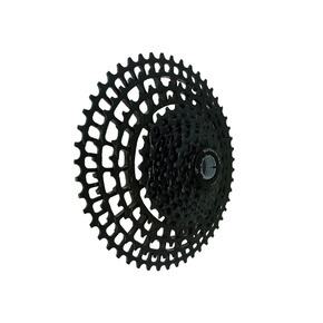 Nunc congue dui nec...