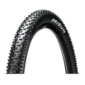 Nunc congue dui nec...