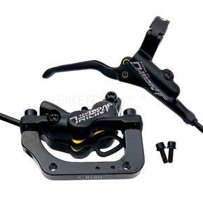 Nunc congue dui nec...